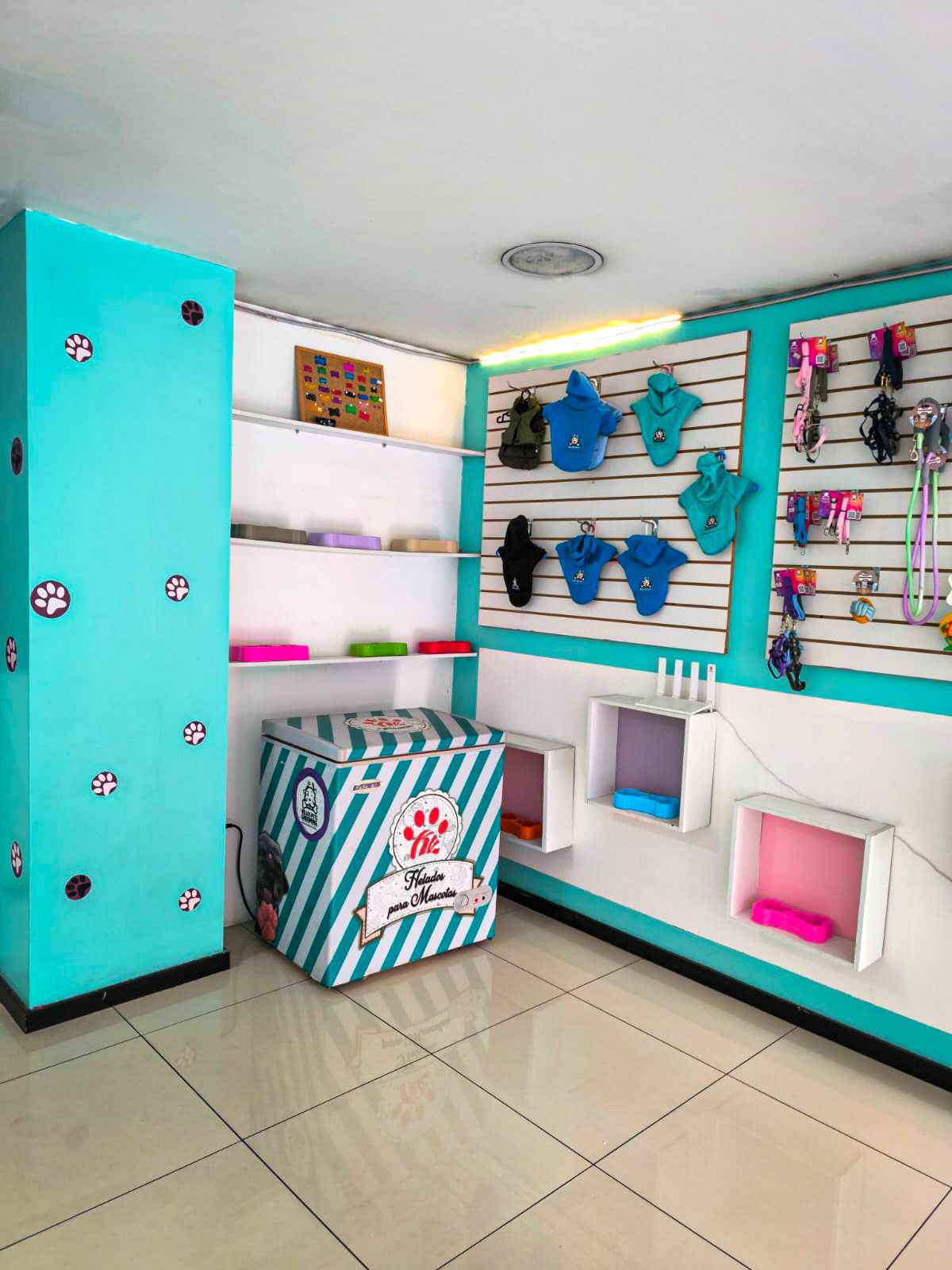 Interior de Happy Puppy Grooming - productos y accesorios