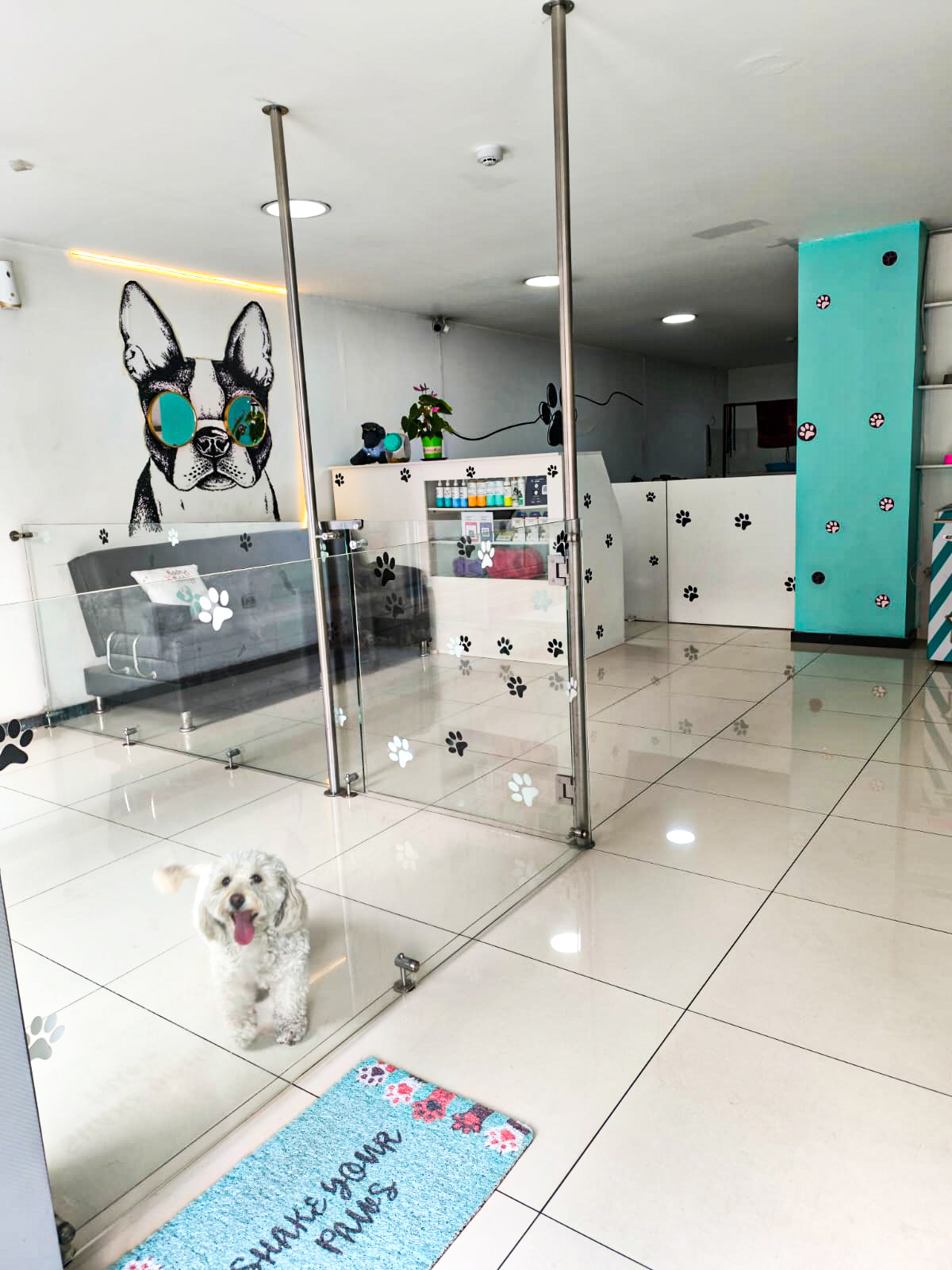 Interior de Happy Puppy Grooming - área de recepción